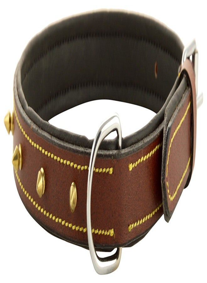 Skora Export Quality Genuine Brass Spiked Leather Dog Collar - 1 Inch (ML) Dog Everyday Collar (Medium, Brown) - Image 1